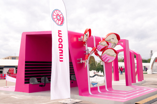 Арт-инсталляция в Лужниках